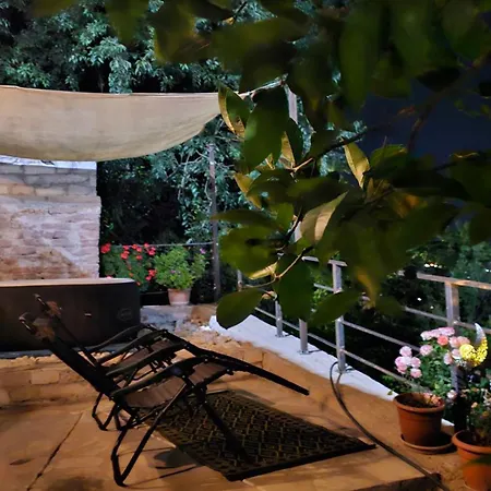 Lemon Garden