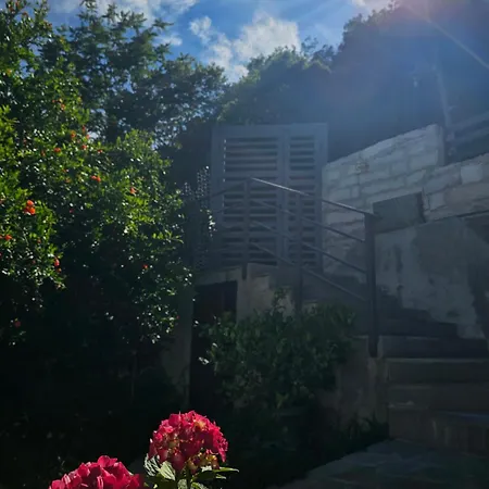 Lemon Garden