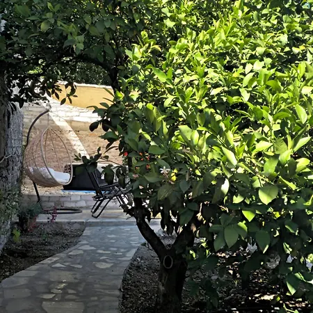 Lemon Garden Πανσιόν 3*
