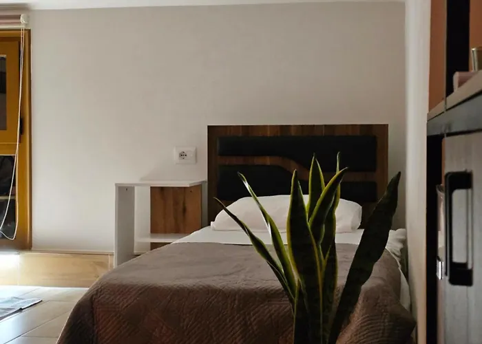 게스트하우스 Lemon Garden 3*