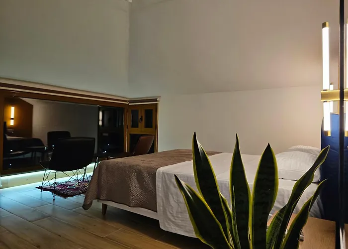 게스트하우스 Lemon Garden